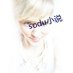 soduС˵