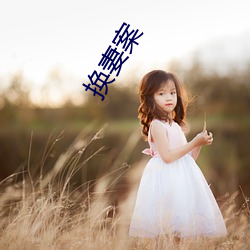 換妻案