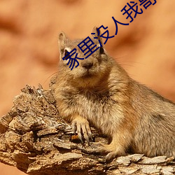 家裏沒人我哥把我那個了