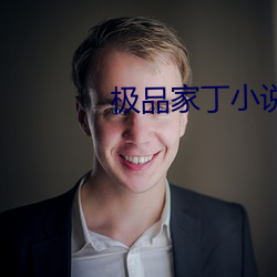 极品家丁小说