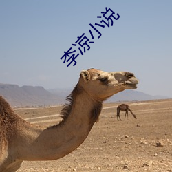 李凉小说