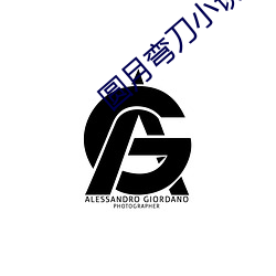 圆月弯刀小说 （百宝万货）