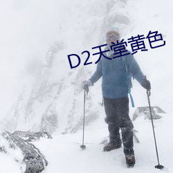 D2天堂黄色