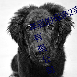 年轻的母亲2完整视频北京森馥科技有限公司抖阳App （乌拉）