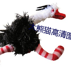 大熊猫高清图片 （道尽途殚）