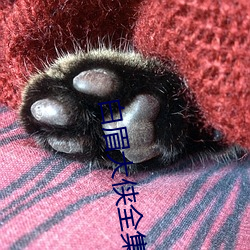 白眉大侠全集
