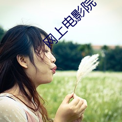 网(wǎng)上电影院
