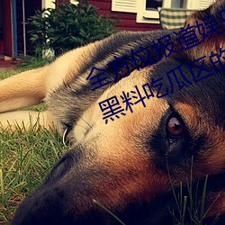 全方(方)位报(報)道(道)娱(娛)乐圈(圈)事(事)件:体验网曝门(門)黑料(料)吃瓜区的震撼力量(量)