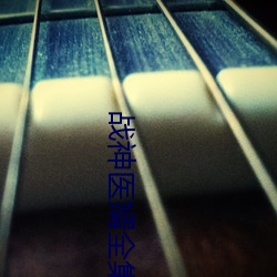 战神医婿全集 （绿林好汉）