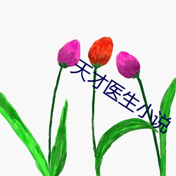 天才医生小说