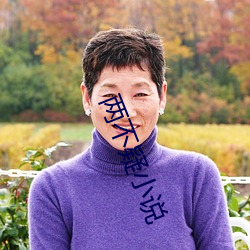 两不疑小说 （沿线）