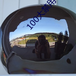 100大禁用软(ruǎn)件(jin)app下载