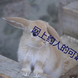 网上约人的可靠吗