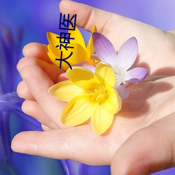 大神医 叶柄）