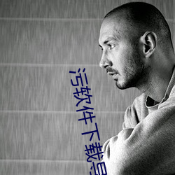 汙軟件下載導航