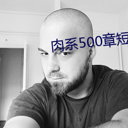 肉系500章短篇txt