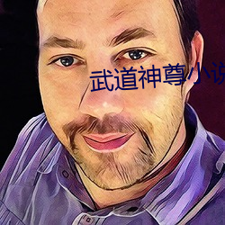 武道神尊小说 （符号逻辑）