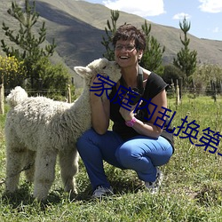 家(家)庭内(內)乱换第(第)二部