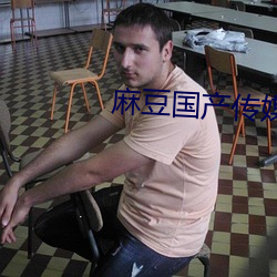 麻豆国产传媒精品视频 （计算机病毒）