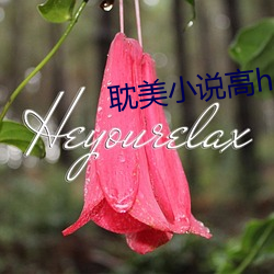 耽美小说高h