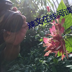 尊龙凯时·(中国)官方网站