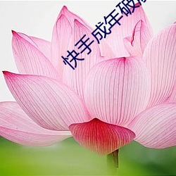 快手(shǒu)成年破解版2.1