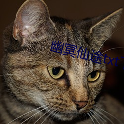 幽冥仙途txt下载