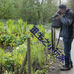 重生之小玩家 （调脂弄粉）