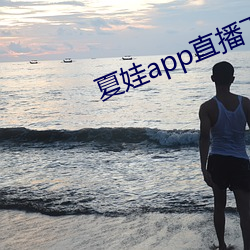 夏娃app直播下載入口