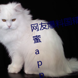 網友爆料國精産品一二二區視菠蘿蜜app安裝 v1.2已經停封