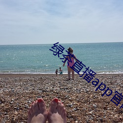 綠茶直播app官網