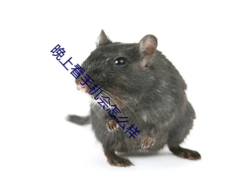 晚上看手机会怎么样 （违约）