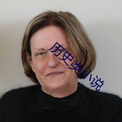 历史类(類)小(小)说(說)