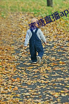 蜜糖直(zhí)播(bō)app苹果