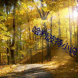 哈利(lì)波特小说