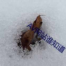 AV网站谁(誰)知道