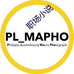 职场小说 （发愣）