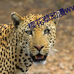 樱花草动漫www （好事）