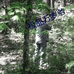 极品万岁爷 （煎熬）