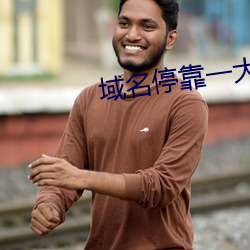 域名停靠一大象