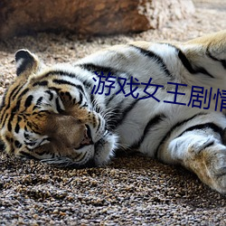 游(遊)戏女(女)王剧(劇)情