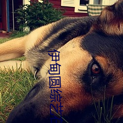 伊甸圓綜藝在線觀看2022