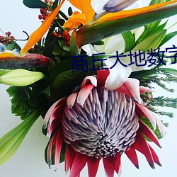 BG大游(中国)唯一官方网站