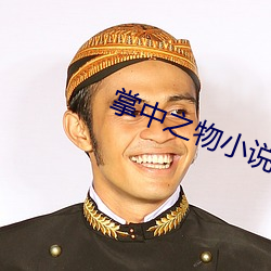 掌中之物小说未删减版
