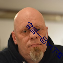 官居一品txt下载