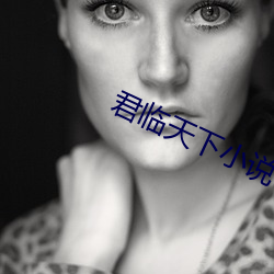 君临天下小说