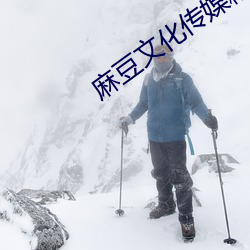 麻豆文化传媒精品 （急忙）