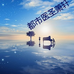 都市医圣萧轩 （假币）