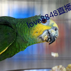 love8848直播下载17岁