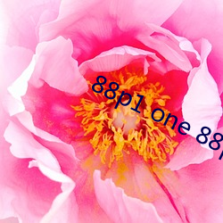 88p1 one 88p5 one （山积波委）